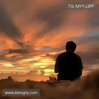陈晓芸